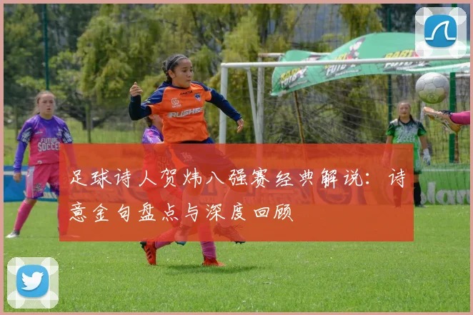 足球诗人贺炜八强赛经典解说：诗意金句盘点与深度回顾